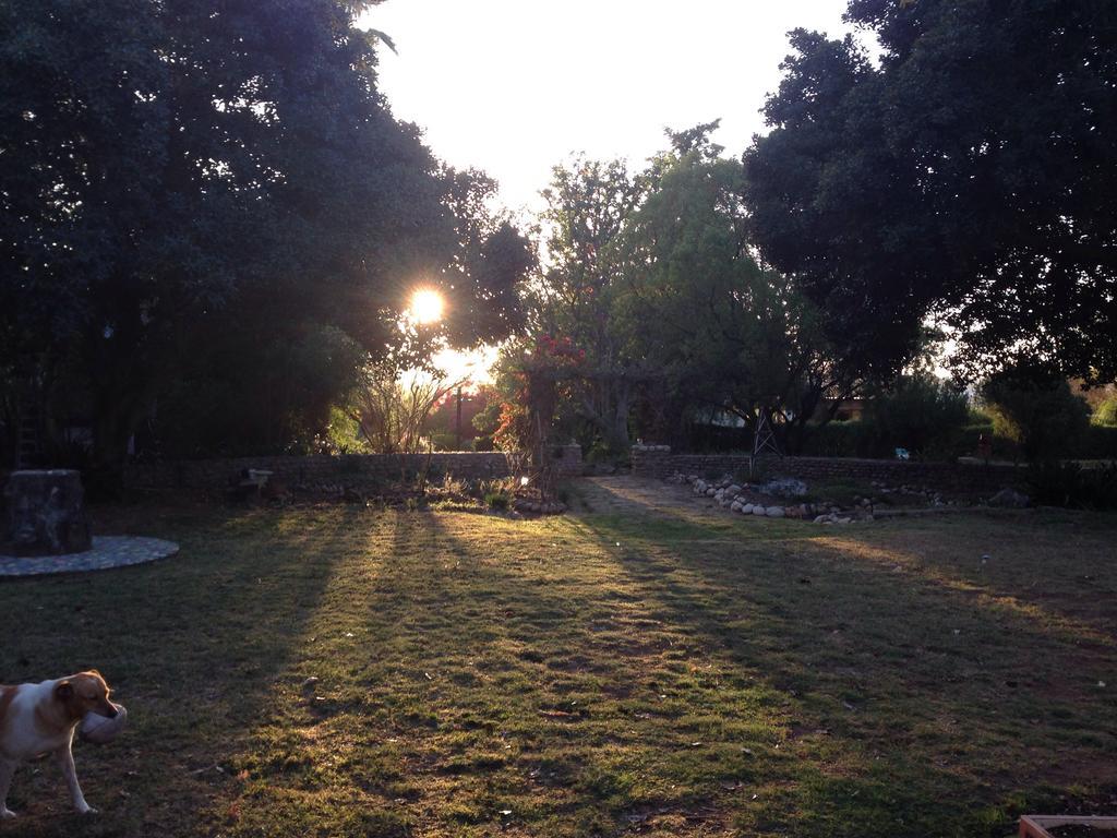 Artkaroo Stay Oudtshoorn Exterior foto
